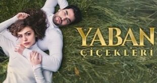 Yaban Çiçekleri