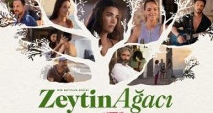 Zeytin Ağacı 2.Sezon